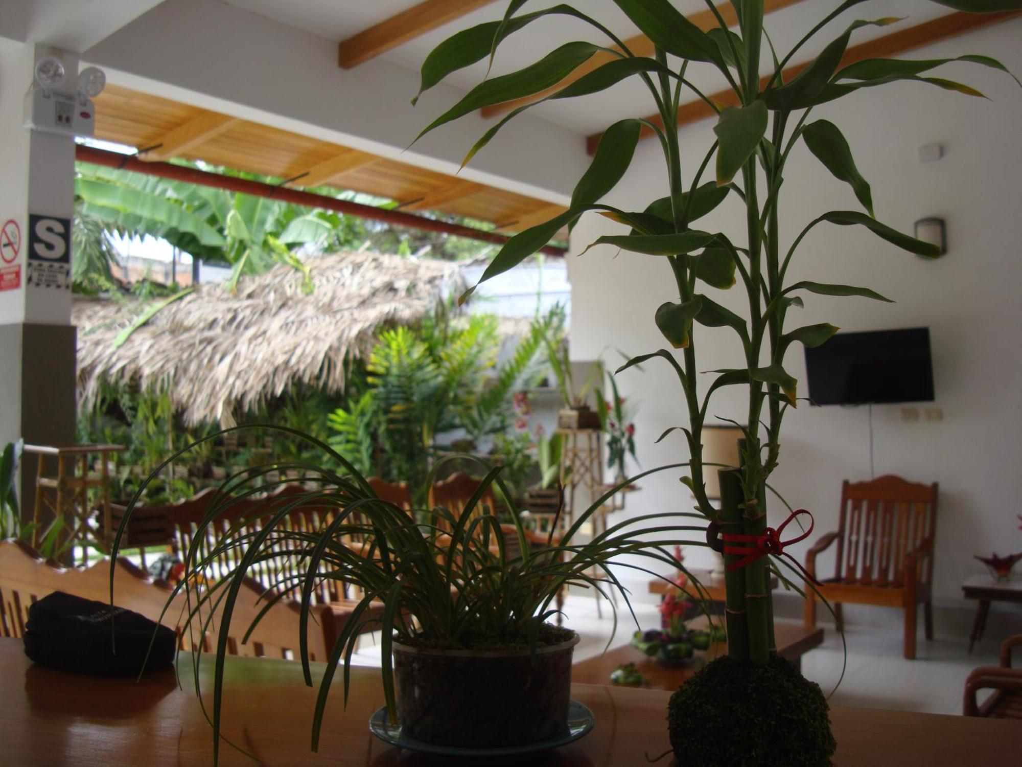 Altavista Casahotel - Asociado Casa Andina Moyobamba Luaran gambar